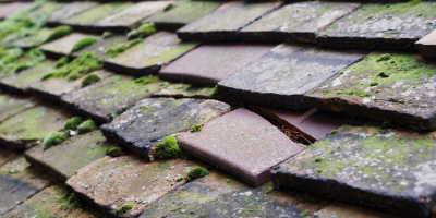 Potton roof repair costs